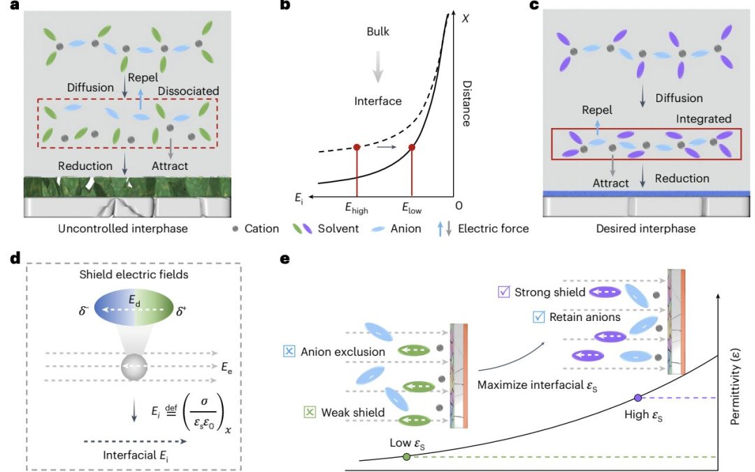 Dielectric protocol leads to high energy density in Li-metal pouch cells