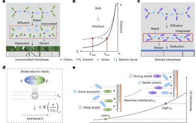 Dielectric protocol leads to high energy density in Li-metal pouch cells