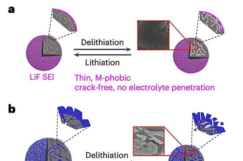 Asymmetric electrolyte design enables high-capacity anodes in lithium-ion batteries