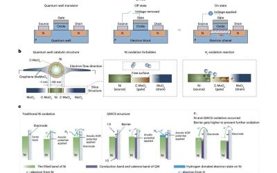 Catalyst design boosts performance of anion-exchange-membrane fuel cells