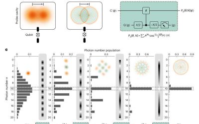 A versatile approach to realize quantum-enhanced metrology with large Fock states