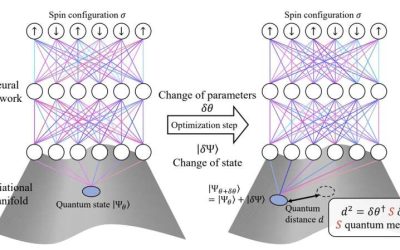 Optimization algorithm successfully computes the ground state of interacting quantum matter