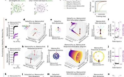 Flexible multi-task computation in recurrent neural networks relies on dynamical motifs, study shows