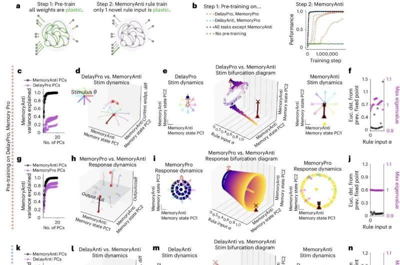 Flexible multi-task computation in recurrent neural networks relies on dynamical motifs, study shows