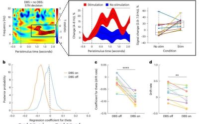 Deep brain stimulation study models impulsivity and risk aversion