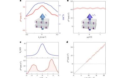 Researchers observe an antiferromagnetic diode effect in even-layered MnBi₂Te₄