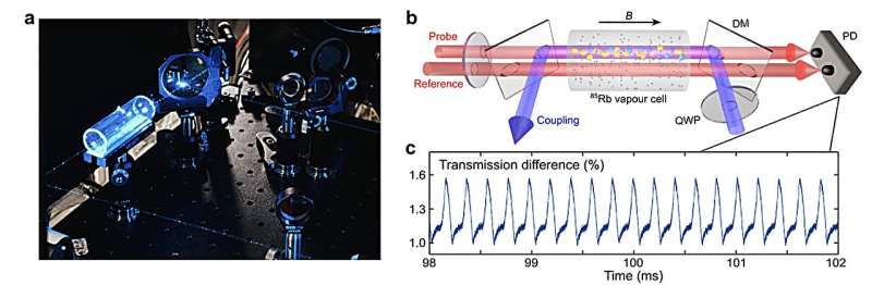 The experimental observation of a dissipative time crystal in a Rydberg gas