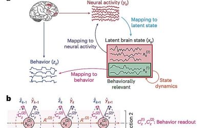 A recurrent neural network-based framework to non-linearly model behaviorally relevant neural dynamics