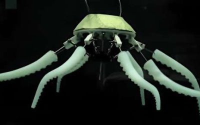 Simplified octopus-inspired swimming robot with soft asymmetric arms can replicate swimming patterns