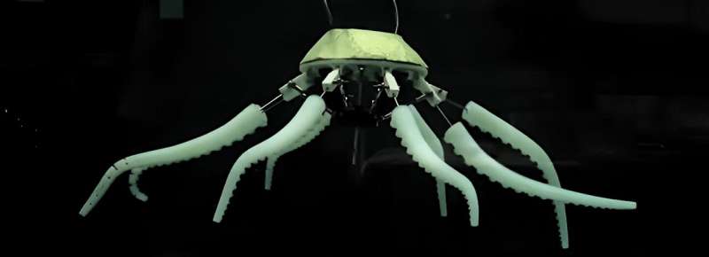 Simplified octopus-inspired swimming robot with soft asymmetric arms can replicate swimming patterns