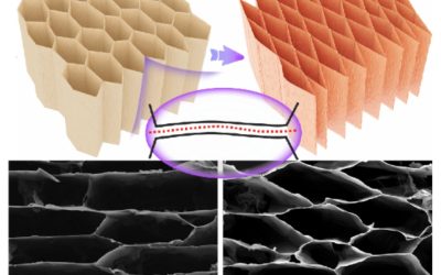 New fabrication strategy enhances graphene aerogel sensitivity and durability for human-machine interfaces