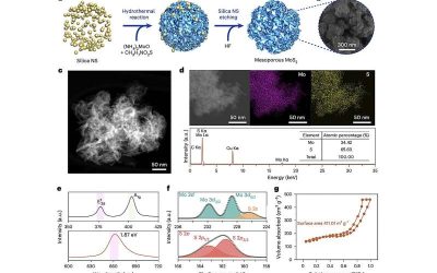 Mesoporous MoS₂ strategy boosts efficiency and stability of perovskite solar cells