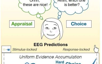 Neural signatures commonly observed when humans make choices can also reflect choice-independent processes