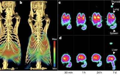 Experiments demonstrate precise delivery of nanoparticles to lung via caveolae pumping system