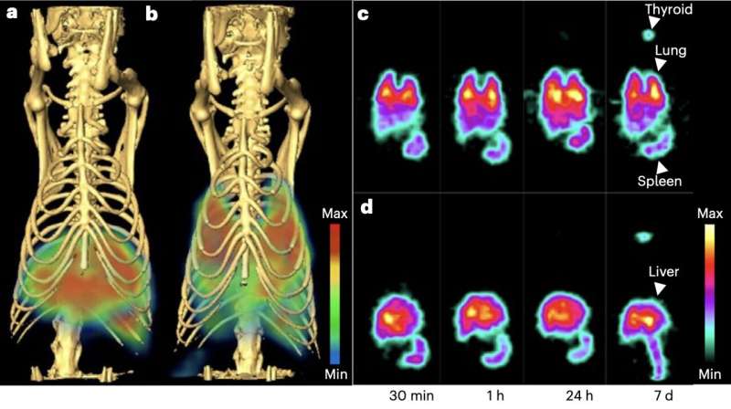 Experiments demonstrate precise delivery of nanoparticles to lung via caveolae pumping system