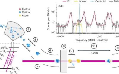 Study gathers strong evidence of the doubly magic nature of ¹⁰⁰Sn