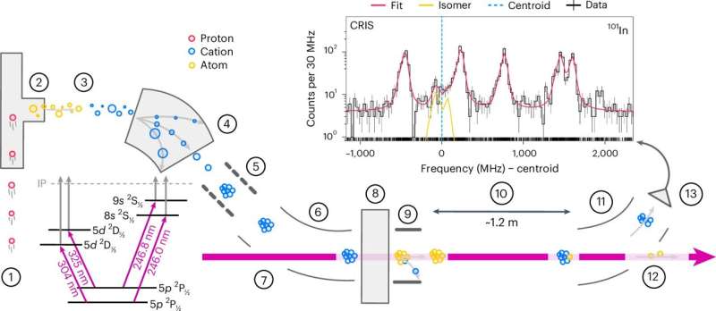 Study gathers strong evidence of the doubly magic nature of ¹⁰⁰Sn