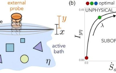 Theoretical framework could improve data gathering in biological systems