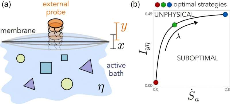 Theoretical framework could improve data gathering in biological systems