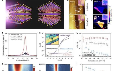 LEDs based on transition metal dichalcogenides display reduced efficiency losses