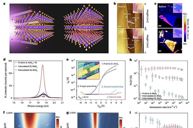 LEDs based on transition metal dichalcogenides display reduced efficiency losses