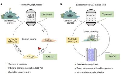 One-step electrochemical regeneration of CO₂ from (bi)carbonates enhances carbon capture efficiency