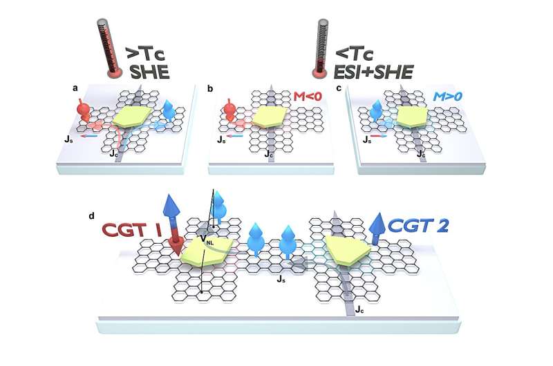 2D graphene spin valve leverages van der Waals magnet proximity for efficient spintronics