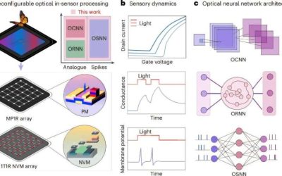 Engineers develop device that merges sensing and computing functions for reconfigurable computing platform