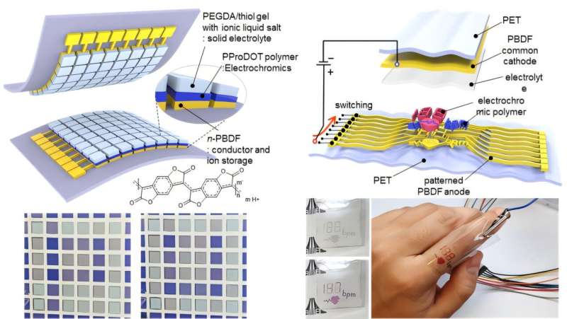 New n-doped transparent conductor shows promise for all-polymer electrochromic displays