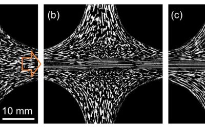 Physicists introduce approach to control wave patterns via fluid flows