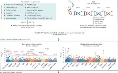 Large-scale genetic study identifies 14 genes linked to neuroticism