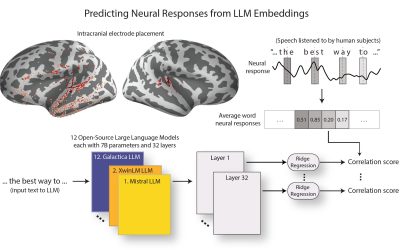 LLMs are becoming more brain-like as they advance, researchers discover