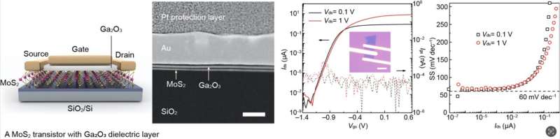 New strategy enhances 2D transistor dielectric layers