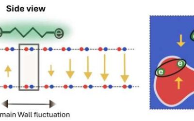 Domain wall fluctuations in 2D materials reveal a new mechanism of superconductivity