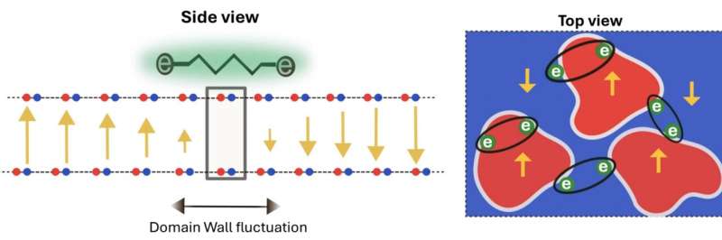 Domain wall fluctuations in 2D materials reveal a new mechanism of superconductivity