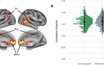 Self-esteem influences self-related representations in others’ brains: Observing ‘self-recapitulation’ through MRIs