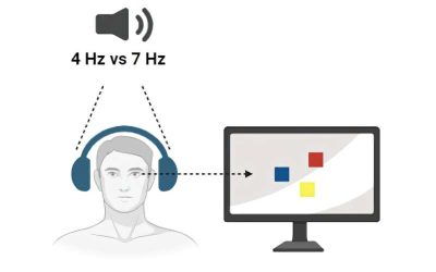 Sensory stimulation enhances the capacity of human visual working memory, study finds