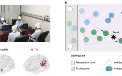 Study gathers new insight into the neural underpinnings of human cooperation