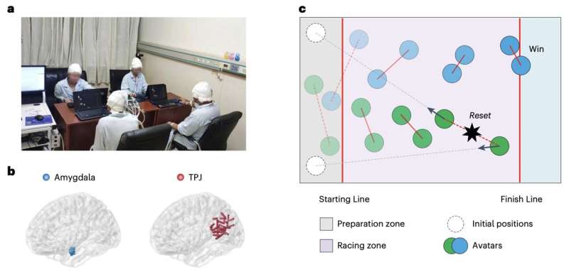 Study gathers new insight into the neural underpinnings of human cooperation