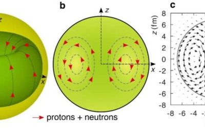 Nickel-58 nucleus may host elusive toroidal dipole excitations