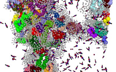 Active particles reorganize 3D gels into denser porous structures, study shows