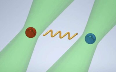 Scientists achieve direct experimental realization of dual-type entangling gates