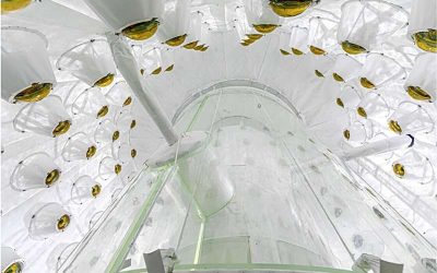 The LZ experiment’s first science run sets new constraints on dark matter interactions