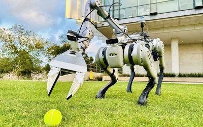 Imitation learning framework enhances quadruped robots’ loco-manipulation skills in the wild