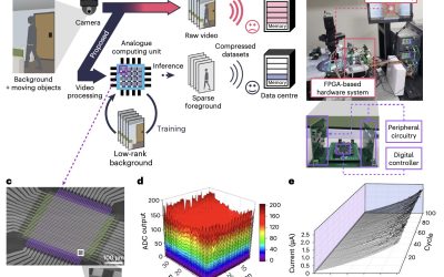 Meditation, art and nature: Neuroimaging reveals distinct patterns of brain activation