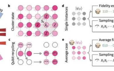 Trapped-ion processor demonstrates verifiable quantum random sampling