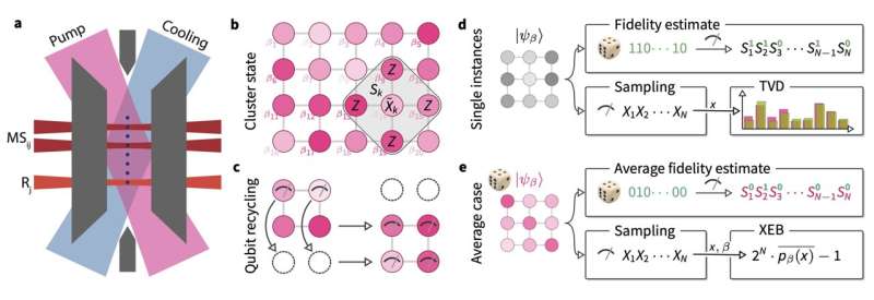 Trapped-ion processor demonstrates verifiable quantum random sampling