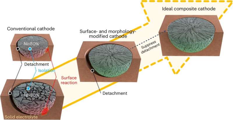 New highly performing Ni-rich cathode active materials for all-solid-state batteries
