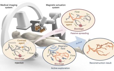 Magnetic microrobot swarm enables 3D imaging of vascular networks