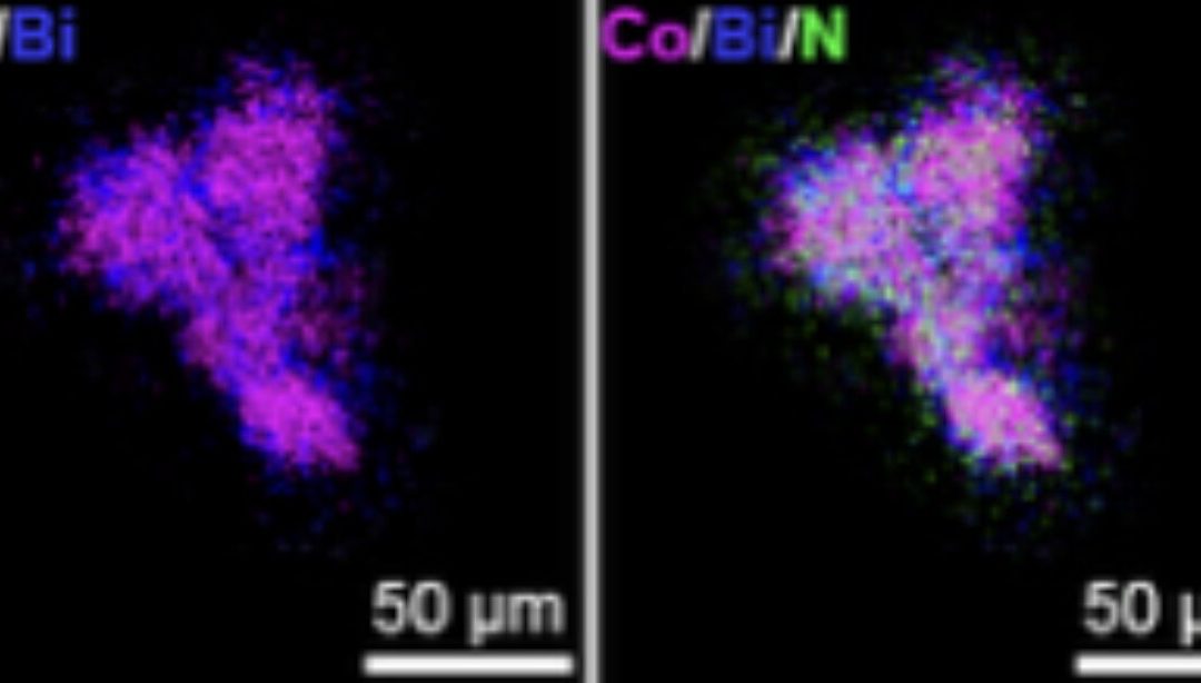 Nanoparticle-cell interface enables electromagnetic wireless programming of mammalian transgene expression